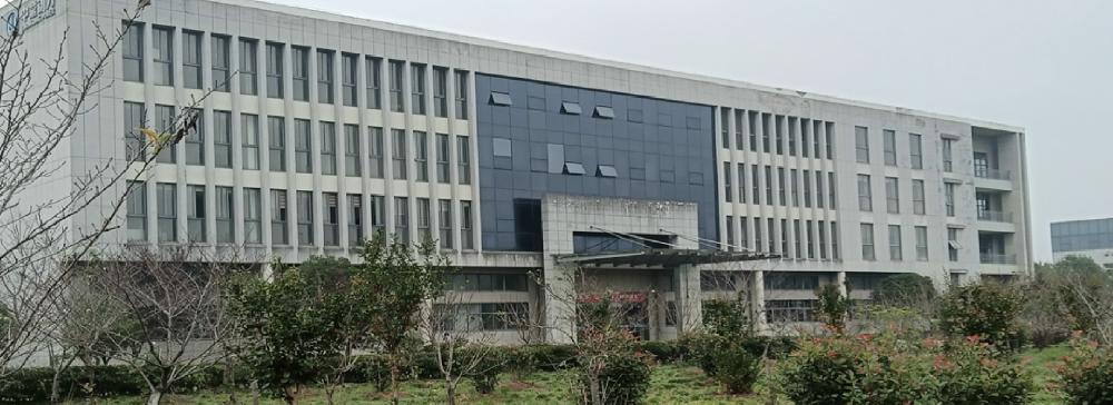 Successful Transformation of Liancheng Precision Anhui